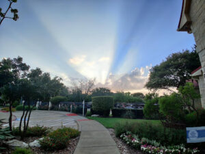 Box Tree Care Reinforces Cedar Park Fire Safety Through Proactive Tree Maintenance Services